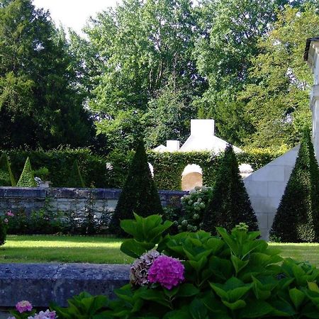Chateau Des Reaux Chouze-sur-Loire Luaran gambar