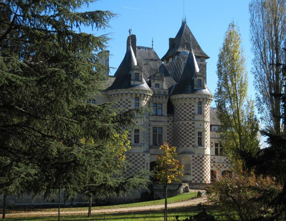 Chateau Des Reaux Chouze-sur-Loire Luaran gambar