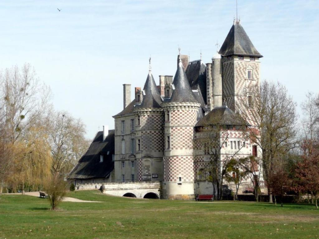 Chateau Des Reaux Chouze-sur-Loire Luaran gambar